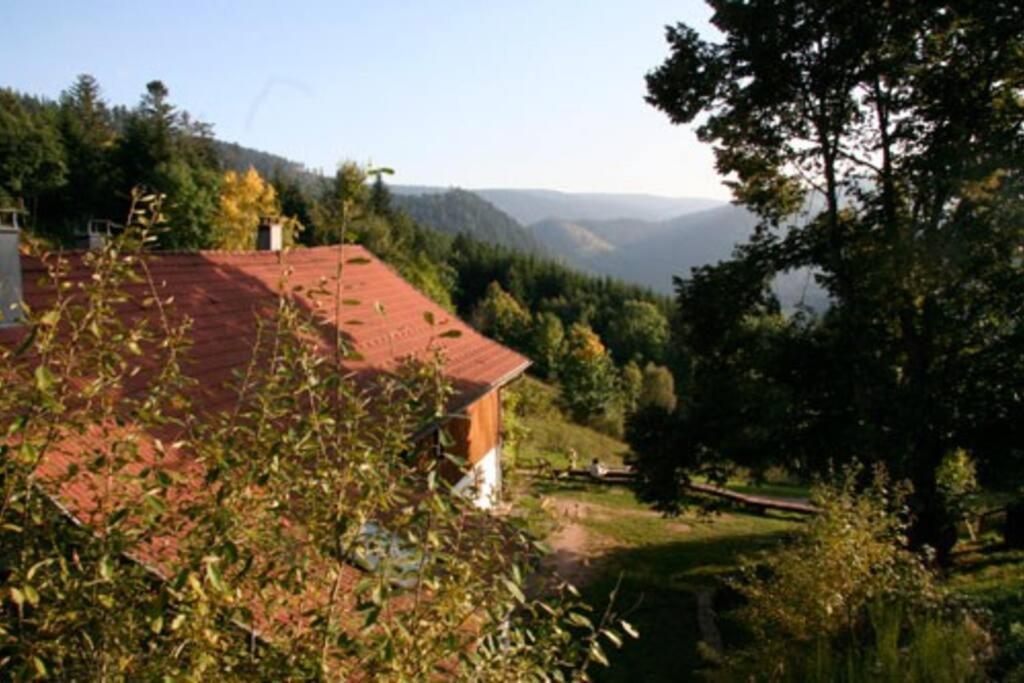 Appartement Dans Vielle Ferme Au Coeur Des Vosges 普兰凡 外观 照片
