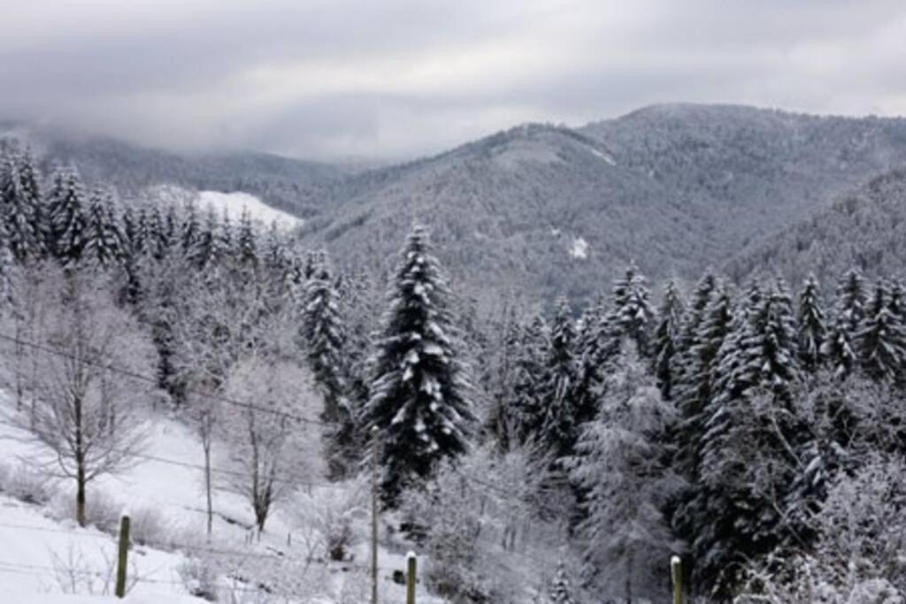 Appartement Dans Vielle Ferme Au Coeur Des Vosges 普兰凡 外观 照片
