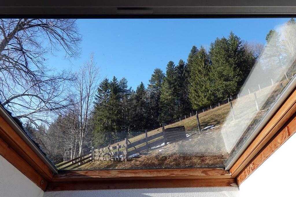Appartement Dans Vielle Ferme Au Coeur Des Vosges 普兰凡 外观 照片