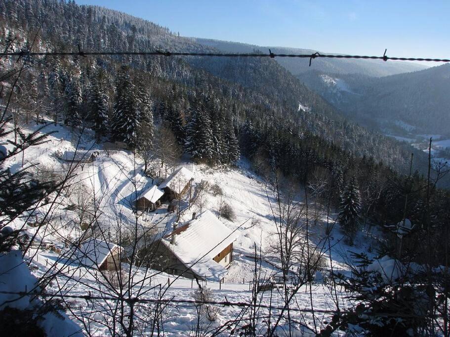Appartement Dans Vielle Ferme Au Coeur Des Vosges 普兰凡 外观 照片