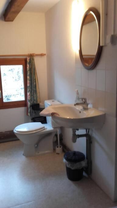 Appartement Dans Vielle Ferme Au Coeur Des Vosges 普兰凡 外观 照片