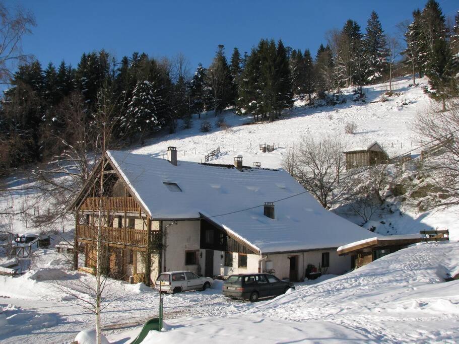 Appartement Dans Vielle Ferme Au Coeur Des Vosges 普兰凡 外观 照片