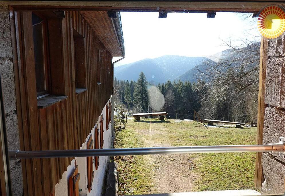Appartement Dans Vielle Ferme Au Coeur Des Vosges 普兰凡 外观 照片
