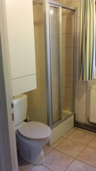 Appartement Dans Vielle Ferme Au Coeur Des Vosges 普兰凡 外观 照片
